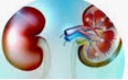 img/urologia